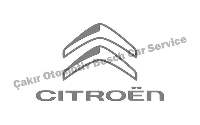 Kayseri Citroën Servisi