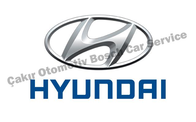 Kayseri Hyundai Servisi