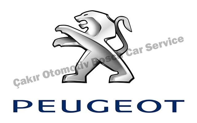 Kayseri Peugeot Servisi