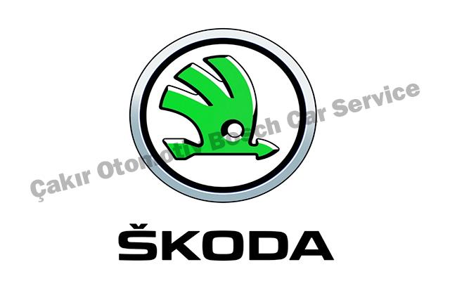 Kayseri Skoda Servisi